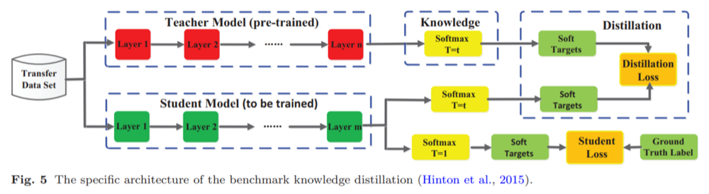 A pretrained teacher and a student process a transfer dataset. Temperature-scaled softmax produces soft targets for both models, a distillation loss compares them, and a separate student loss compares the student's ordinary softmax output with the ground-truth label.